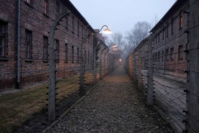 РЕЗОЛЮЦИЯ памятного мероприятия, посвященного «77-й годовщине    освобождения  Красной Армией           концлагеря Аушвиц-Биркенау (Освенцим)»