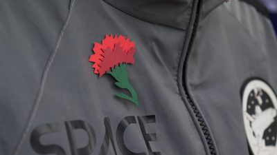 Акция Красная Гвоздика